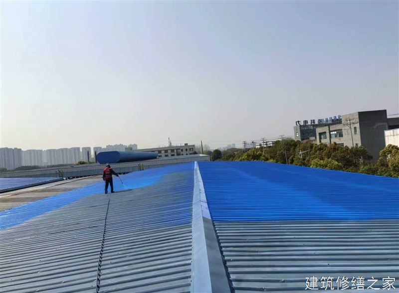 肇庆2026鼎湖区 涂料 有没有正规资质